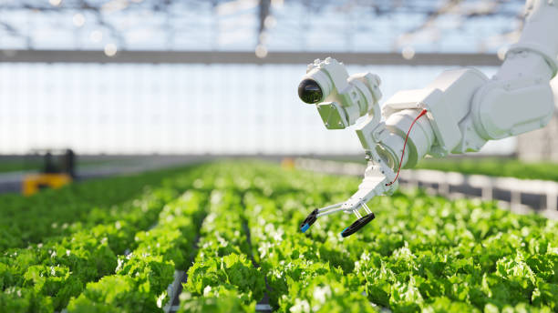 automation and robotics in hydroponic farming automation and robotics in hydroponic farming